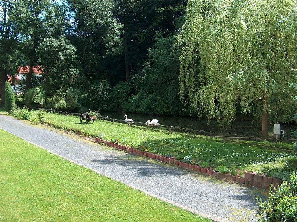 Landhotel & Restaurant Gutsherrn-Klause Dankerode  Eksteriør billede